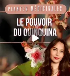 Instagram - Plantes médicinales : le pouvoir du quinquina