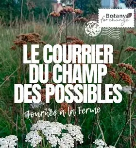  Instagram - Le courrier du champ des possibles #3