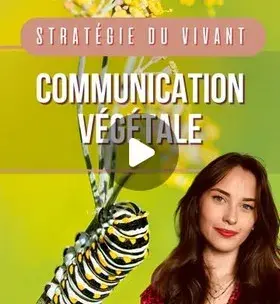Instagram - Drôle de biologiste - Communication végétale