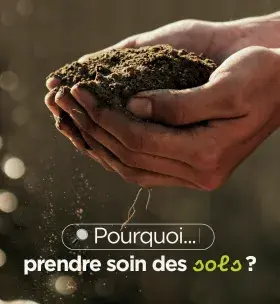 Prendre soin des sols