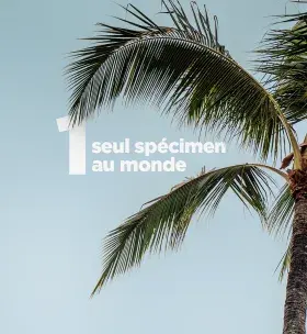 1 seul spécimen au monde