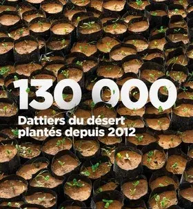 130 000 dattiers du désert plantés depuis 2012