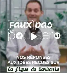 Faux pas pousser #1