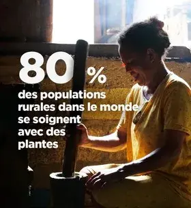 Instagram - 80% des populations rurales dans le monde se soignent avec des plantes