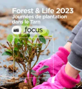Forest & Life