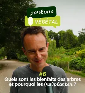 Microtrottoir