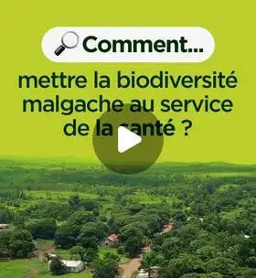 biodiversite malgache
