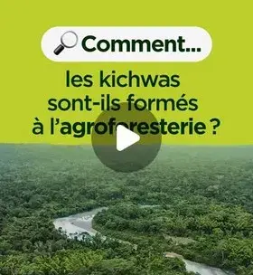 kichwas