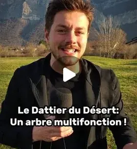 Micke le dattier du désert