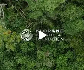 La santé commence avec les plantes