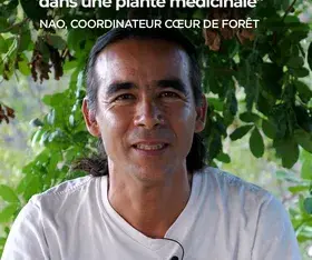 Où se cachent les vertus d'une plante ?