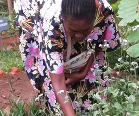 Femme dans un jardin