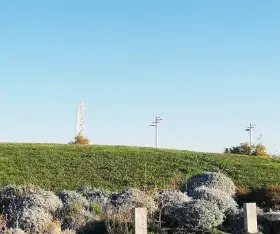 Le Jardin des Nymphes : des nouvelles du lauréat Botany For Change 2018 !