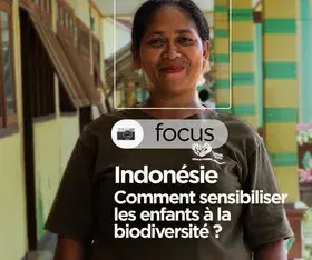 Indonésie : Quand l’avenir prend racine à l’école ! 