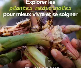Les plantes médicinales au cœur de nos projets depuis plus de 30ans !