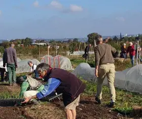 personnes dans un champ