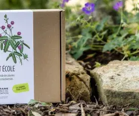coffret dans la nature