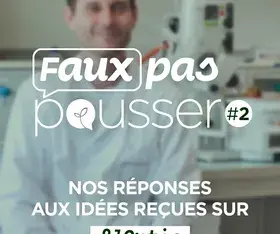 Faux pas pousser #2 Piquante, l’ortie ?