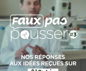 Faux pas pousser #3 Mémé dans les orties ! Et si c'était bénéfique pour ses articulations ?