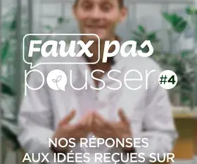 Faux pas pousser #4 La figue de Barbarie est idéale pour les peaux sèches ? 
