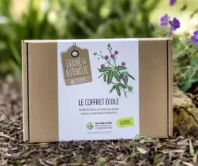 coffret dans la nature