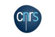 Logo CNRS