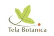 Tela Botanica