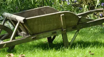 Biodiversity in the garden