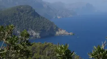 Mediterranean biodiversity