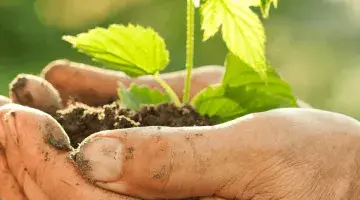 How can we preserve biodiversity?