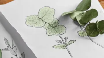 herbarium