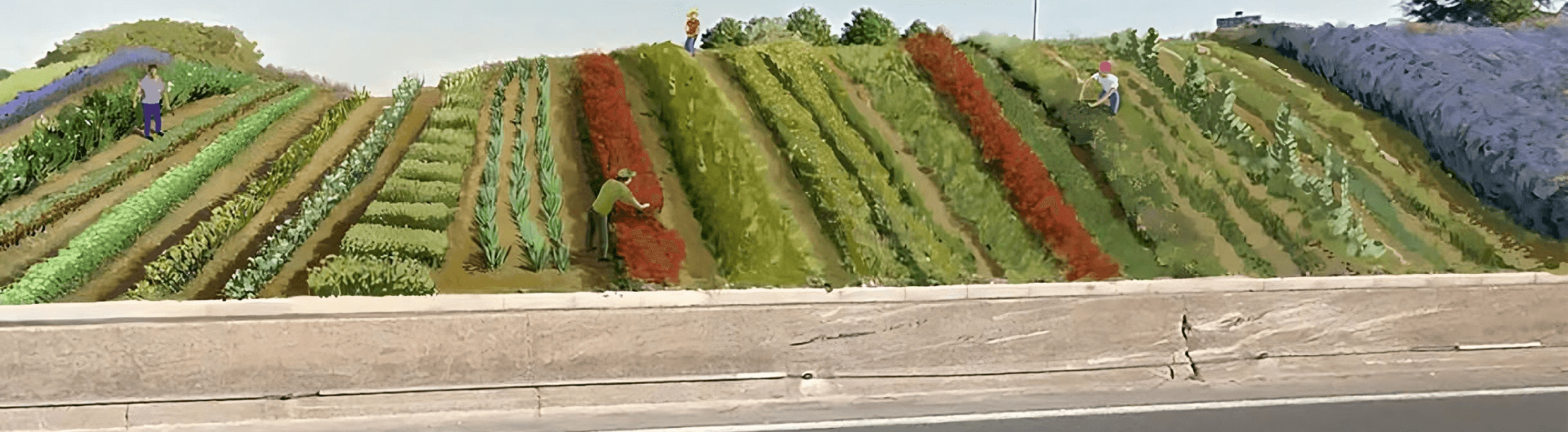 Greening the Paris Highway: «Il était une voie » Programm