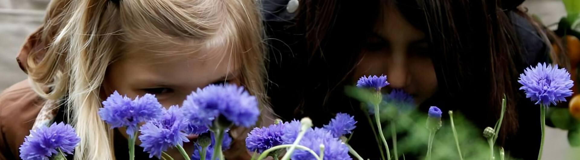 enfant fleurs