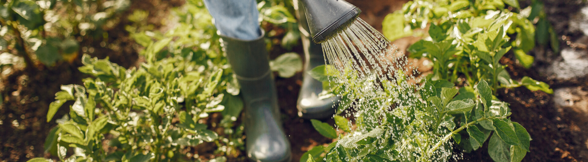 bottes de jardinier et arrosoir