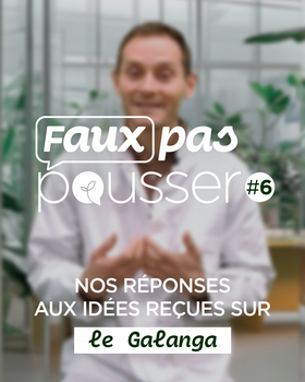 Faux pas pousser #6