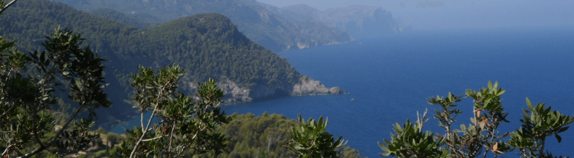 Mediterranean biodiversity