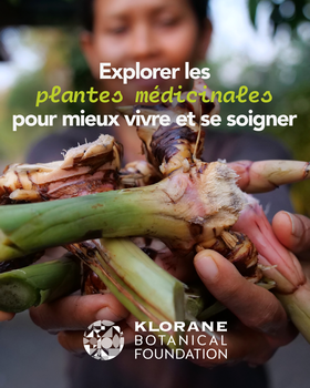 Les plantes médicinales au cœur de nos projets depuis plus de 30ans !