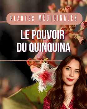Le pouvoir du quinquina