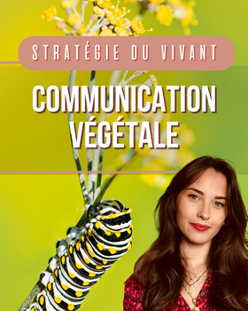 La communication végétale