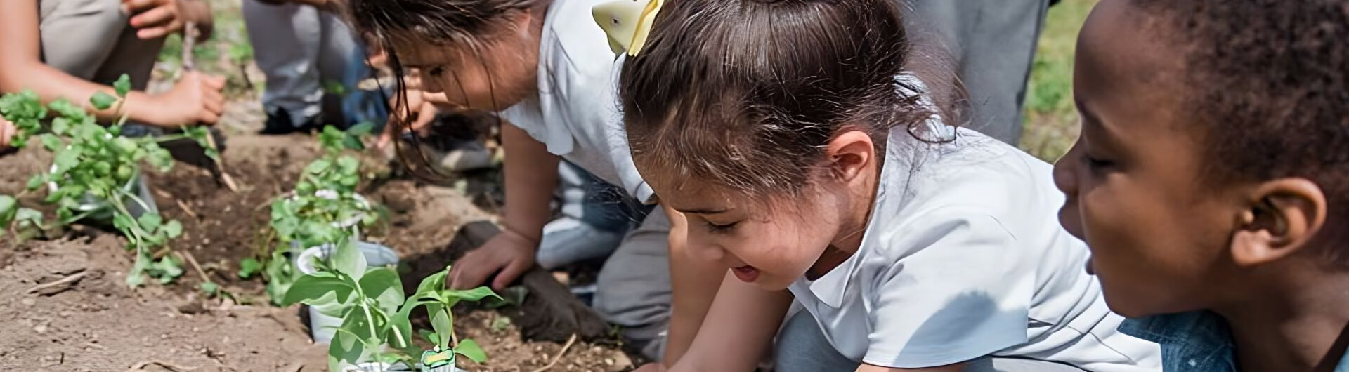 budding botanist