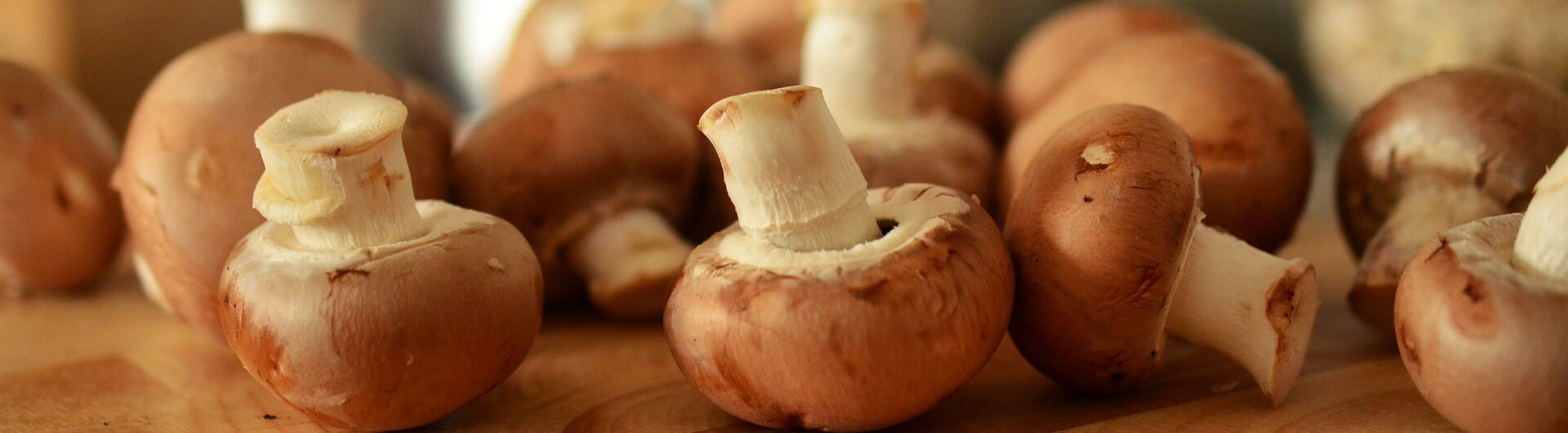 champignons