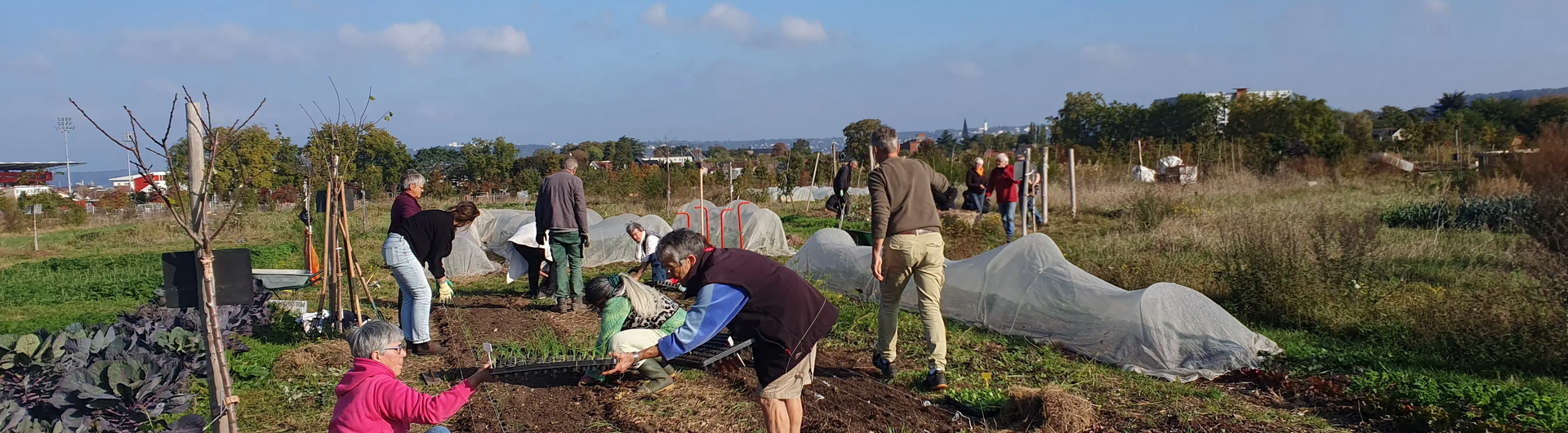 personnes dans un champ