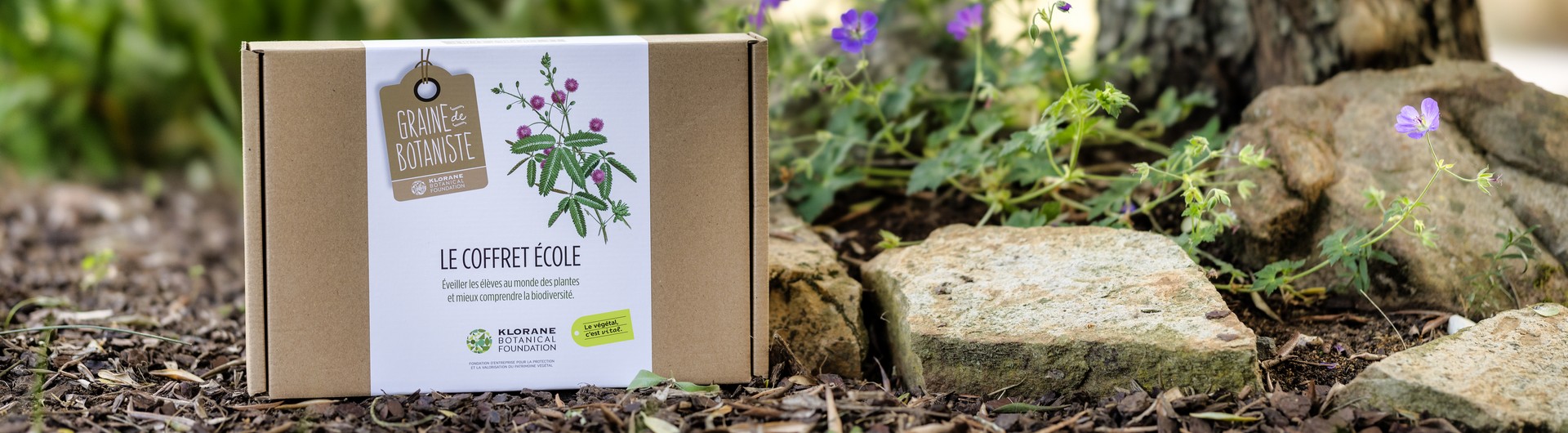 coffret dans la nature