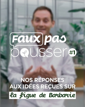 Faux pas pousser #1 La figue de Barbarie efficace contre le diabète ?