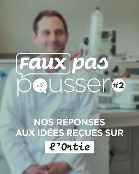Faux pas pousser #2 Piquante, l’ortie ?