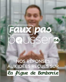 Faux pas pousser #4 La figue de Barbarie est idéale pour les peaux sèches ? 