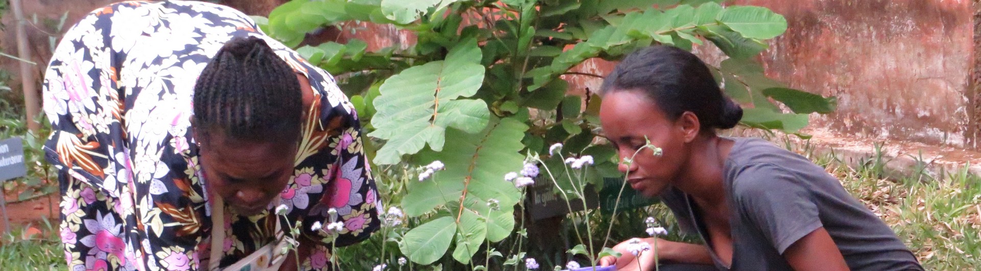 Formations des villageois aux plantes médicinales (Madagascar) avec Jardins du Monde