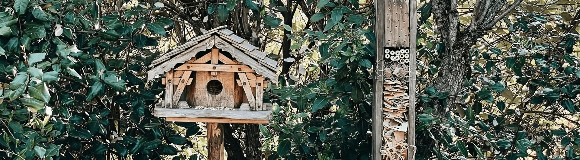 Hôtel à insectes