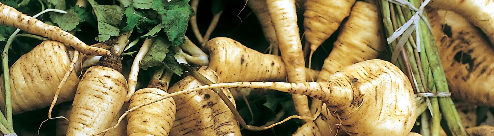 Des légumes du Moyen âge à nos jours