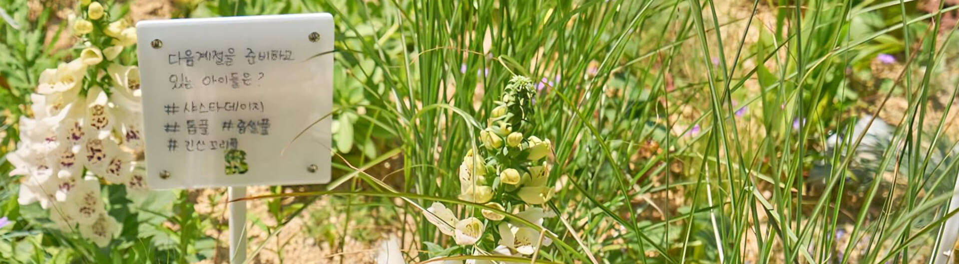 2019 Botany For Change Award